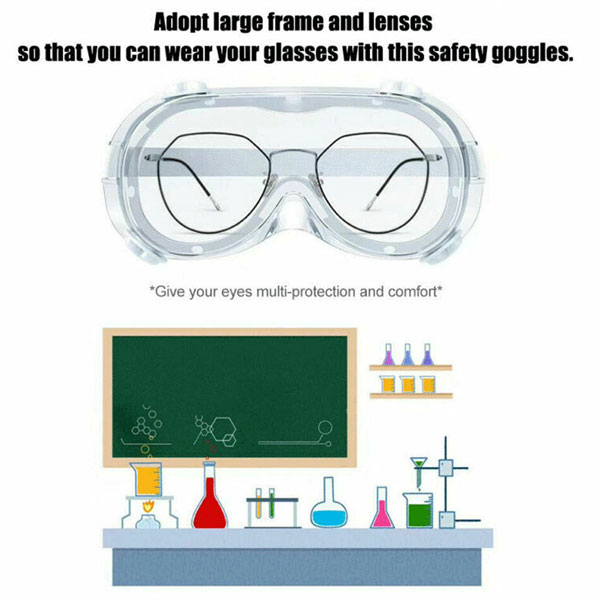 Protective Goggles 10 LN_1517