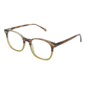 Eyeglasses Frames 31