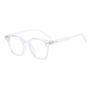 Arlington Transparent Eyeglass 3 LN_1825