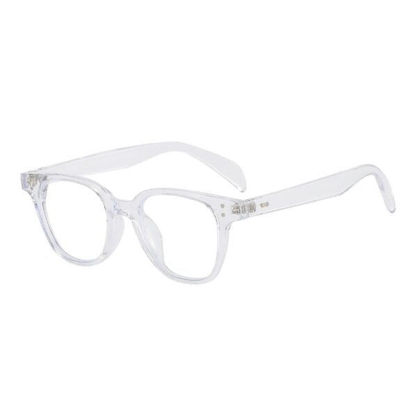 Melbourne Transparent Eyeglass 2 LN_1805