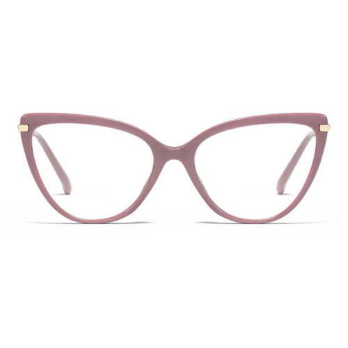Eyeglasses Frames 112
