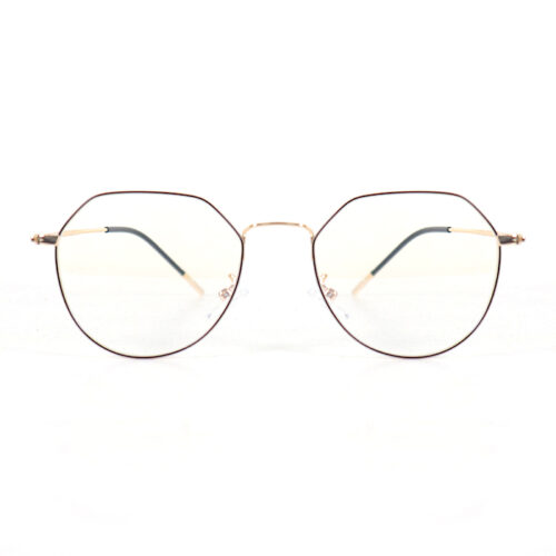 Eyeglasses Frames 124