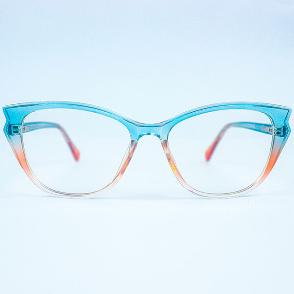 Trinity Blue Pink Eyeglass 1 LN_1899