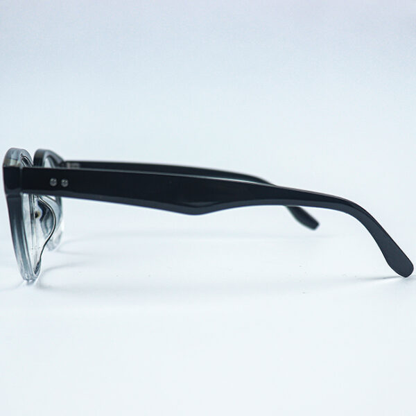 Evie Black Transparent Eyeglass 3 LN_1888