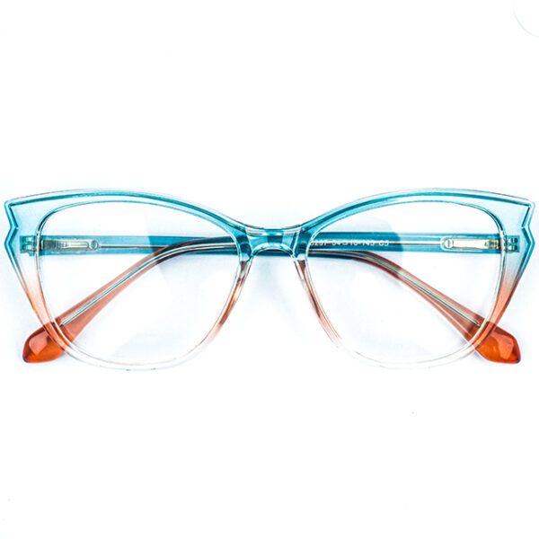Trinity Blue Pink Eyeglass 4 LN_1899