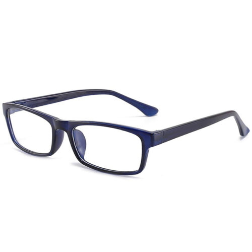 Wade Blue Eyeglass 5 LN_1893