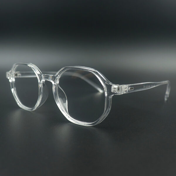 Neil Transparent Eyeglass 2 LN_1879