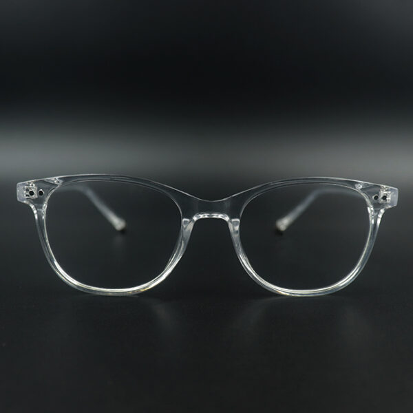 Otto Transparent Eyeglass 1 LN_1883
