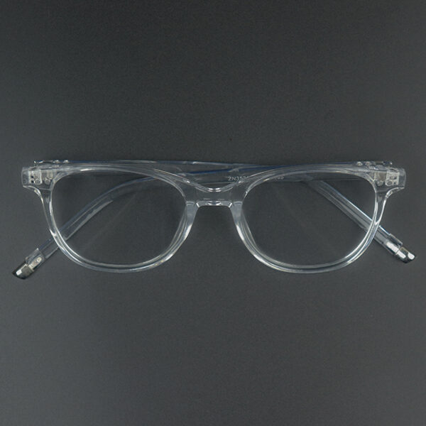 Otto Transparent Eyeglass 4 LN_1883