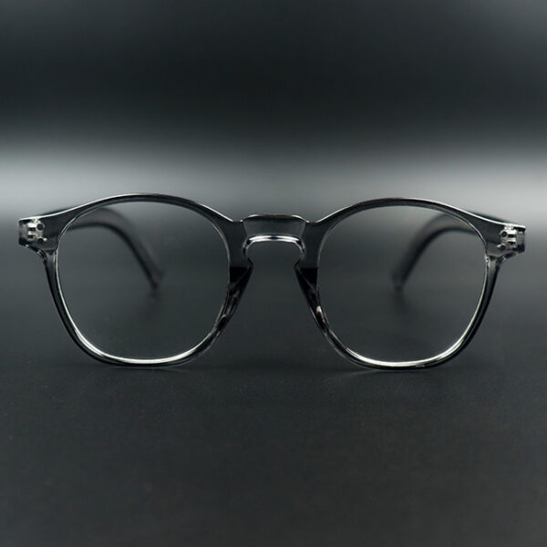 Nash Grey Transparent Eyeglass 1 LN_1881