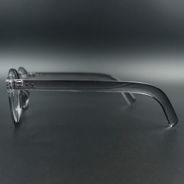 Nash Grey Transparent Eyeglass 3 LN_1881