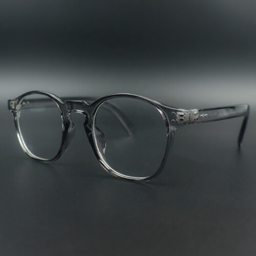 Nash Grey Transparent Eyeglass 5 LN_1881