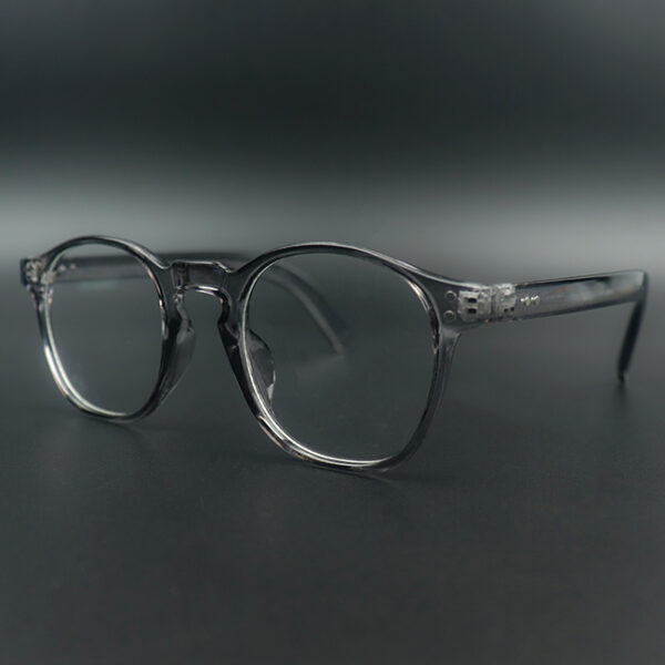Nash Grey Transparent Eyeglass 2 LN_1881
