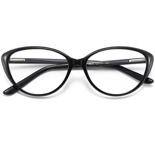Quinn Black Eyeglass 5 LN_1895