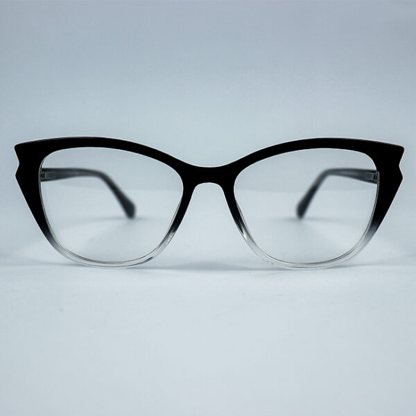 Trinity Black Transparent Eyeglass 1 LN_1898