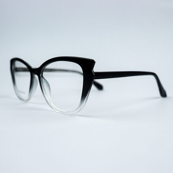Trinity Black Transparent Eyeglass 2 LN_1898