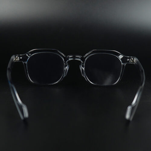 Grace Grey Transparent Eyeglass 9 LN_1958