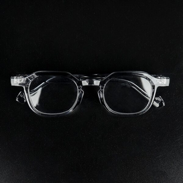 Grace Grey Transparent Eyeglass 5 LN_1958