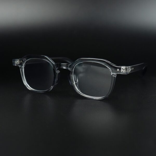 Grace Grey Transparent Eyeglass 2 LN_1958