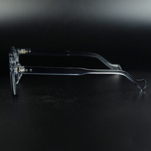 Grace Grey Transparent Eyeglass 8 LN_1958