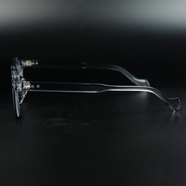 Grace Grey Transparent Eyeglass 3 LN_1958