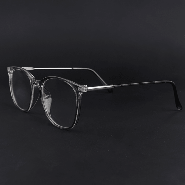Cohen Grey Transparent Eyeglass 2 LN_1991