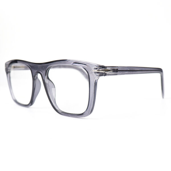 Mascot Grey Eyeglass 2 LN_2023