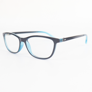 Eyeglasses Frames 53