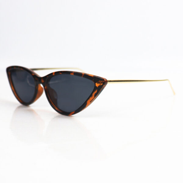 Alternative view of Lunettes Monsoon_14-26