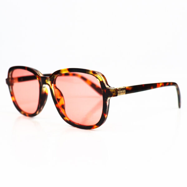 Alternative view of Lunettes Monsoon_34-26